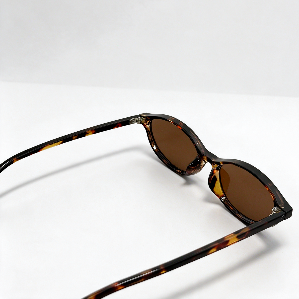 IBIZA TORTOISE