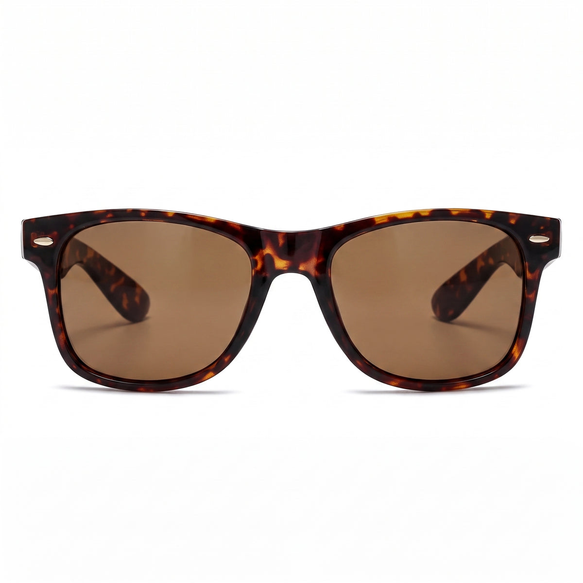 CANNES | Tortoise