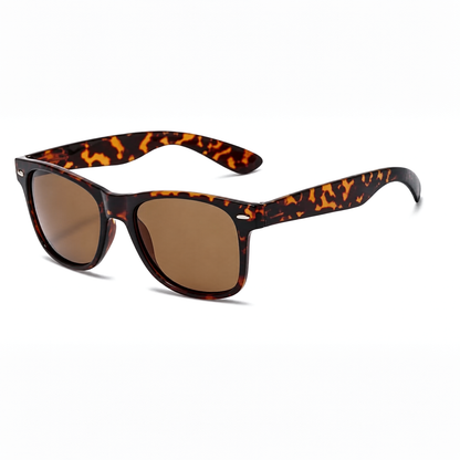 CANNES | Tortoise