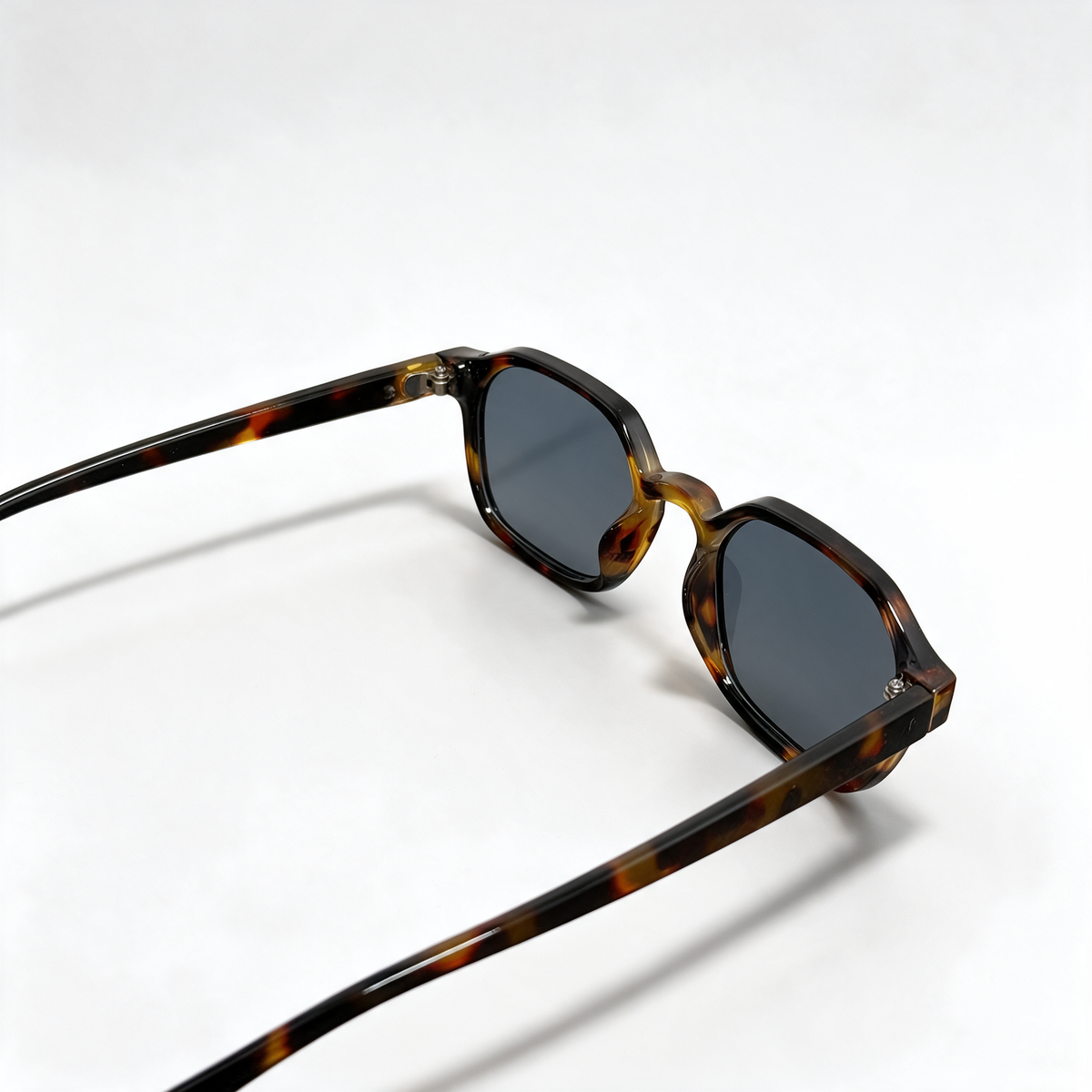 BERLIM TORTOISE | Blue